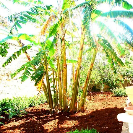 Casa La Loggia E Il Mare A 50mt Appartamento Avola
